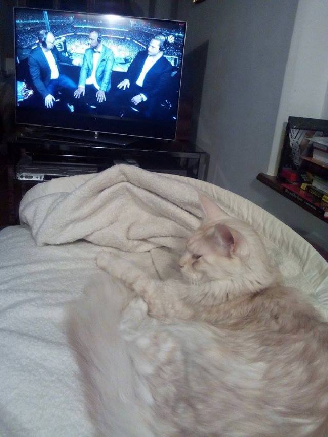 16729809_1712655528748239_368517940_n