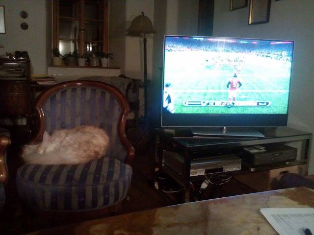 16754252_1712655628748229_561490593_n